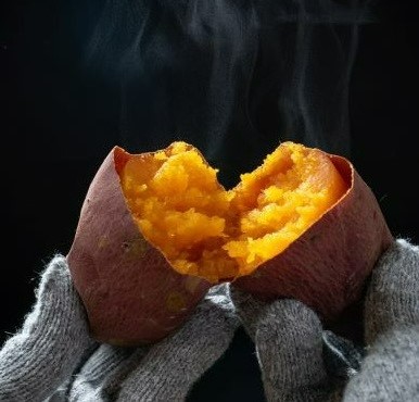 佐之衛門の焼き芋　シルクスイート