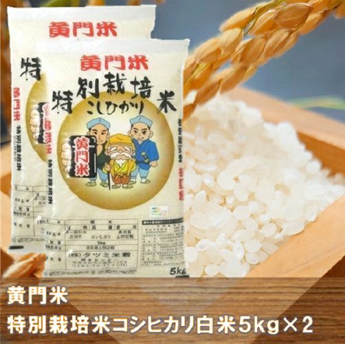 7年茨城県産黄門米特別栽培米コシヒカリ白米5㎏×2 | いばらき県産品お
